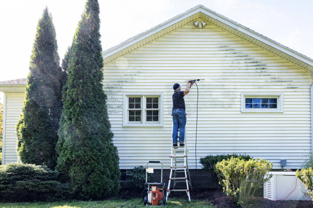 Best Gutter Cleaning  in Whitehouse, TX